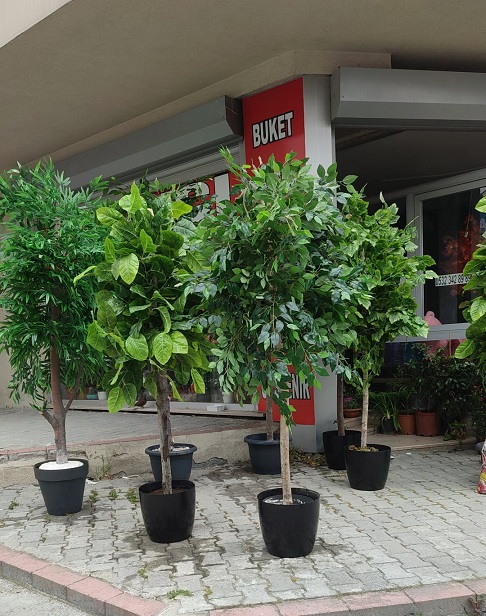 B�y�k Boy Yapay A�a�lar