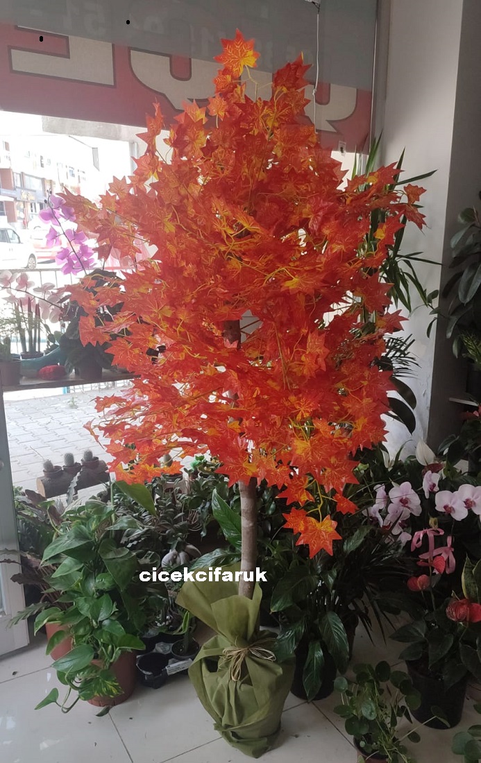 Yapay Hazan SONBAHAR a�ac�